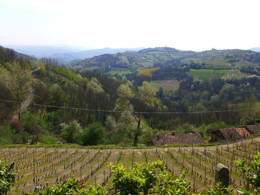 Bed And Breakfast Val D'Oche Castel Boglione Екстериор снимка